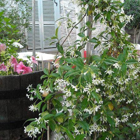 Theano Guesthouse Hidra Exterior foto